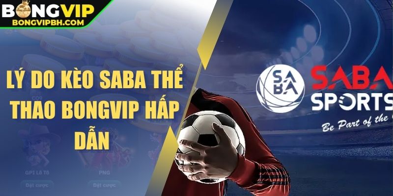 Lý do kèo Saba thể thao Bongvip hấp dẫn 